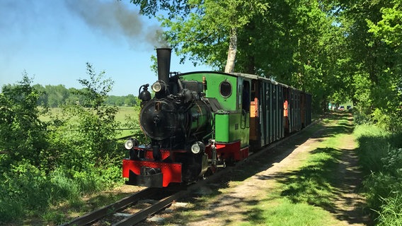 Zug aus dem Kleinbahnmuseum Deinste. © NDR Foto: Arne Wiechern
