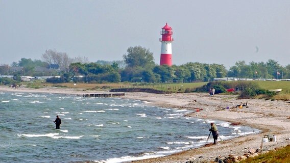 Blick auf den Leuchtturm Falshöft und die Ostsee in der Geltinger Birk. © NDR Foto: Kathrin Weber