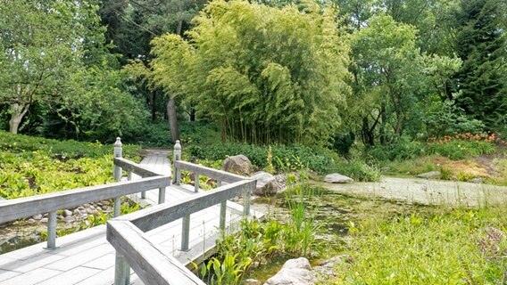 Eine graue Holzbrücke führt über einen See im japanischen Garten. © NDR Foto: Anja Deuble