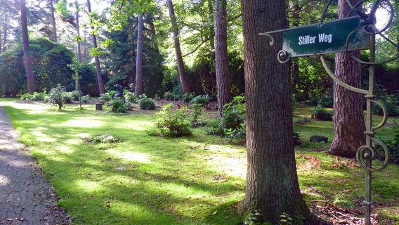 Stiller Weg auf dem Ohlsdorfer Friedhof. Stiller Weg auf dem Ohlsdorfer Friedhof. © NDR Foto: Irene Altenmüller