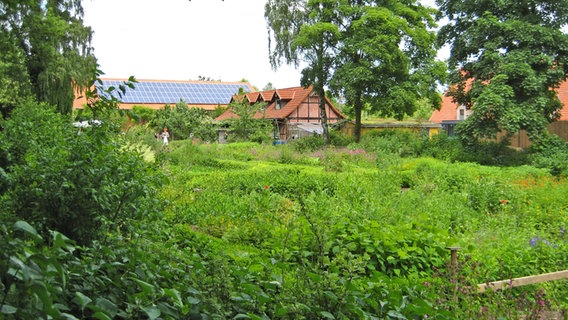 Bauerngarten auf Gut Karlshöhe in Hamburg. © Hamburger Klimaschutzstiftung /Gut Karlshöhe 