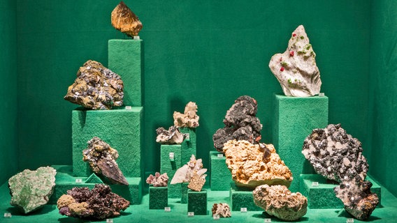 Vitrine im Mineralogischen Museum. © UHH, RRZ/MCC Foto: Arvid Mentz