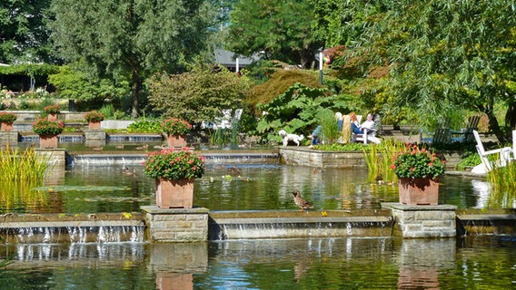 Die 1935 angelegte Wasserkaskade in Planten un Blomen in Hamburg. © Bildarchiv Gartendenkmalpflege der Behörde für Stadtentwicklung und Umwelt. Foto: Heino Grunert