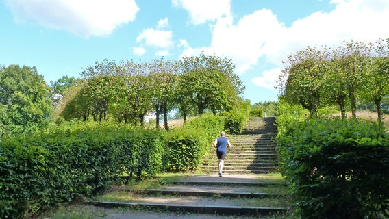 Ein Läufer auf dem Tutenberg im Altonaer Volkspark © NDR Foto: Irene Altenmülller