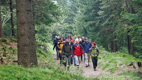 Wanderer auf dem Goetheweg im Harz © Harzer Tourismusverband 