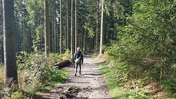 Wanderweg durch einen Wald in Hahnenklee im Harz. © NDR Foto: Kathrin Weber