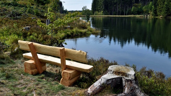 Eine Holzbank mit Blick auf einen Teich im Harz. © imago images / CHROMORANGE Foto: Dieter Moebus