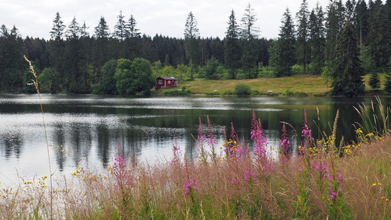 Eine rote Hütte steht an dem Ziegenberger Teich bei Buntenbock. © NDR Foto: Anja Deuble