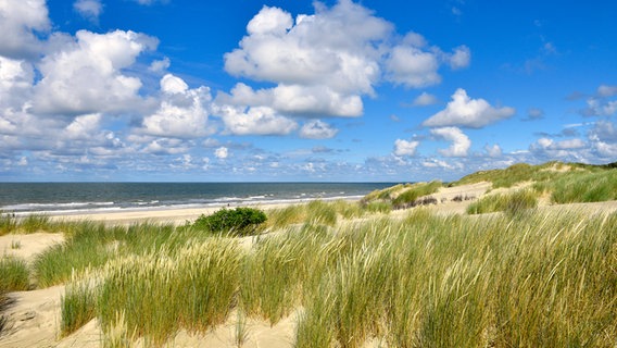 Blick auf Nordsee-Strand und Dünen auf der Insel Borkum. © Picture-Alliance / Michael Narten 