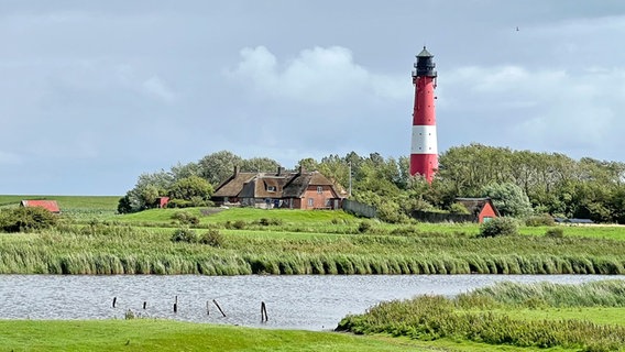 Blick auf den Leuchtturm auf der Insel Pellworm im Sommer. © NDR Foto: Elke Janning