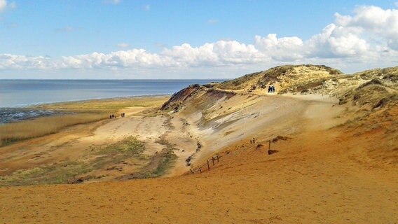 Blick auf das Naturschutzgebiet Morsum-Kliff auf Sylt © NDR Foto: Kathrin Weber