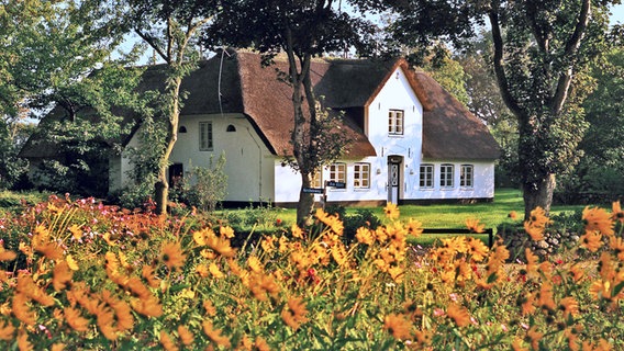 Typisches Friesenhaus mit Reetdach in Keitum auf Sylt. © picture-alliance / HB-Verlag Foto: K.-H. Raach