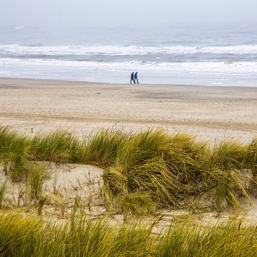 Blick auf Dünen und Strand auf der Insel Spiekeroog © imago/Jochen Tack 