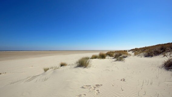 Leerer Strand und Dünen auf der Insel Wangerooge. © Kurverwaltung Wangerooge Foto: Andree Hugel
