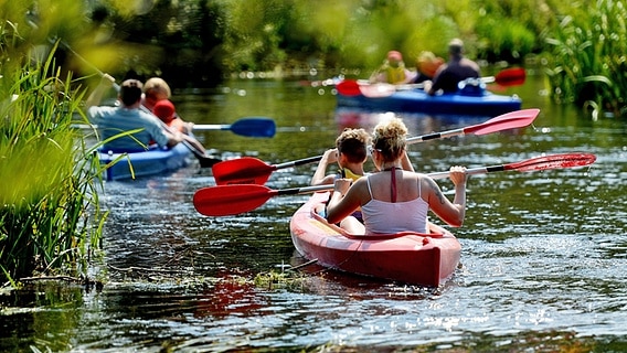 Kajaks an einem Sommertag auf der Örtze © dpa Foto: Susann Prautsch/dpa