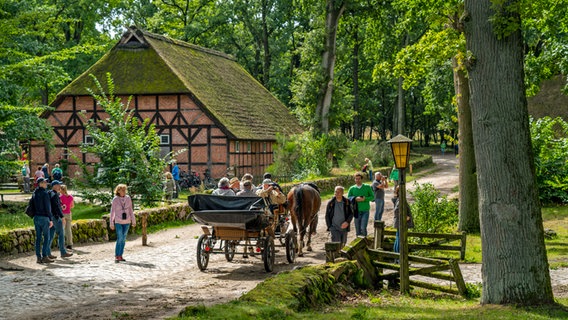 Besucher und eine Pferdekutsche im Heidedorf Wilsede © imago Foto: Jochen Tack
