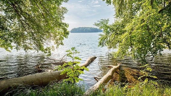 Blick auf den Pinnower See im Sternberger Seenland © TMV Foto: Susanne Krauss