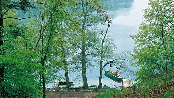 Blick auf die Handfähre am See Schmaler Luzin. © Tourismusverband Mecklenburg-Vorpommern Foto: Thomas Grundner
