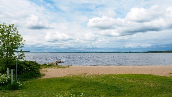 Dicke Wolken ziehen am Himmel über einem Gewässer, im Vordergrund sind eine Wiese und ein Strand zu sehen. © NDR Foto: Anja Deuble
