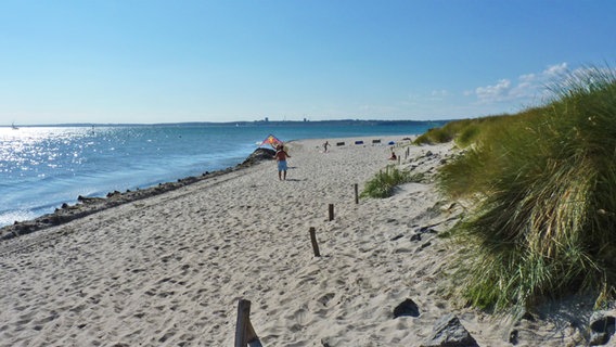 Strand mit Dünen in Pelzerhaken an der Ostsee © NDR Foto: Irene Altenmüller