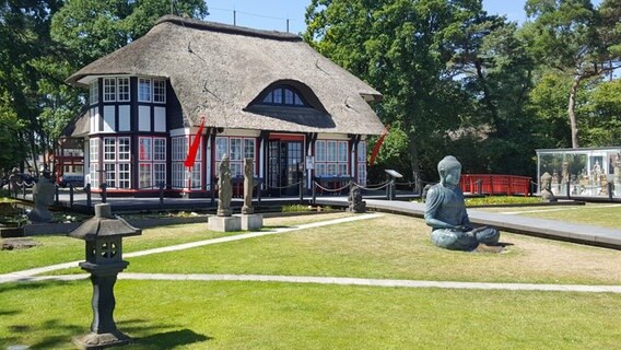 Vor einem reetgedecktem Haus in Timmendorfer Strand steht eine große Buddha-Figur auf dem Rasen. © NDR Foto: Kathrin Weber