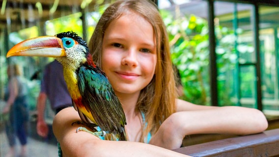 Ein kleiner Tukan sitzt auf dem Arm eines Mädchens im Vogelpark Walsrode © Weltvogelpark Walsrode 