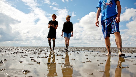 Drei junge Leute gehen barfuß im Watt spazieren. © fotolia Foto: Edler von Rabenstein