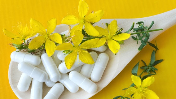 Weiße Kapseltabletten liegen auf einem Löffel mit gelben Blüten des Johanniskrauts. © Fotoalia Foto: kaprikfoto