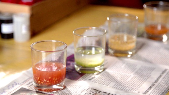 Aufgereiht auf Zeitungspapier stehen vier Gläser mit Wasser, in denen verschiedenfarbiges Tomatenfleisch eingeweicht wird. © NDR / jabfilm 