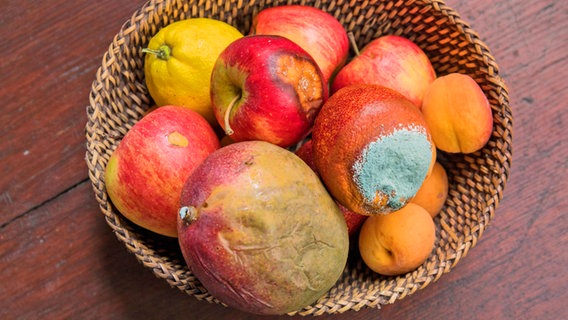 Schimmliges Obst in einer Obstschale. © imago images Foto: Marius Schwarz