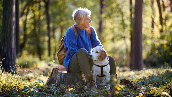 Ältere Frau auf einem Baumstumpf im Wald sitzend mit einem Hund vor sich sitzend © Colourbox Foto: #232319