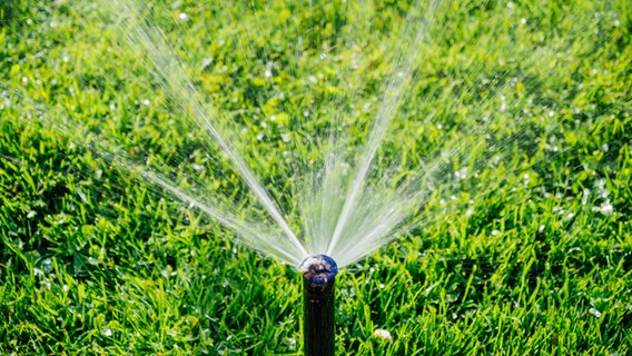 Ein automatischer Wassersprinkler bewässert einen Rasen. © Colourbox Foto: ifeelstock