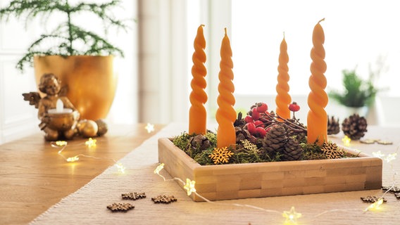 Vier goldgelbe Kerzen stehen in einem kleinen Holztablett und sind mit Moos, Tannenzapfen und Hagebutten dekoriert. © NDR Foto: Anja Deuble
