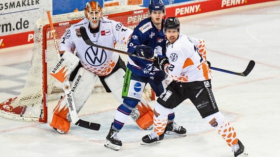 DEL-Play-off-Duell zwischen den Grizzlys Wolfsburg und Straubing Tigers © IMAGO / Hockeypics/Eva Fuchs 