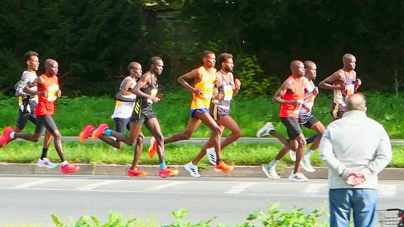 Läufer des Hannover-Marathons etwa fünf Minuten nach dem Start. © IMAGO / Rust 
