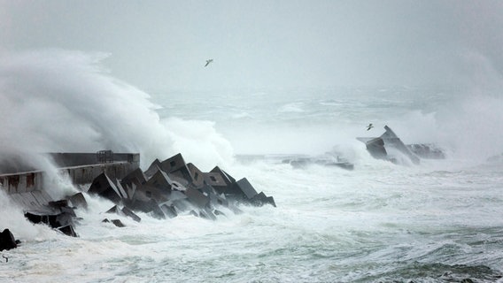 Sturm vor der Küste Helgolands © picture alliance / Arco Images Foto: H. Marschall
