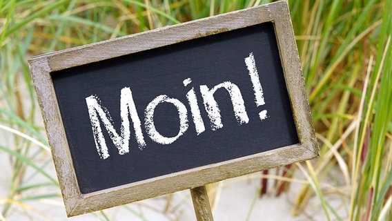 Schild mit der Aufschrift "Moin" © fotolia Foto: DOC RABE Media