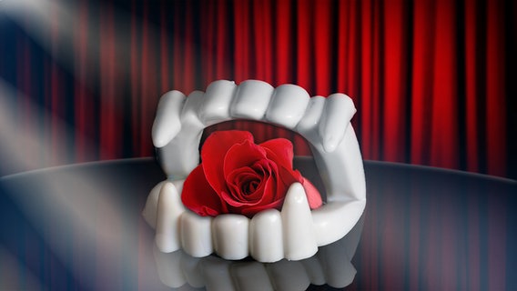 Plastik-Vampirzähne mit Rose auf einer Bühne (Montage) © iStockphoto, Fotolia.com Foto: Chan Pak Kei, Andrew Buckin