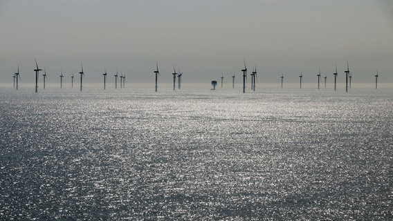 Ein Offshore-Windpark im Meer. © Colourbox Foto: Astrid Gast
