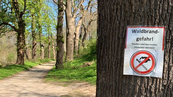 Ein Warnschild an einem Baum weist auf die Waldbrandgefahr hin © NDR Foto: Christine Raczka