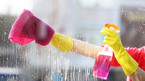 Eine Frau putzt mit einem Lappen und Gummihandschuhen Fenster. © Fotolia.com Foto: Africa Studio