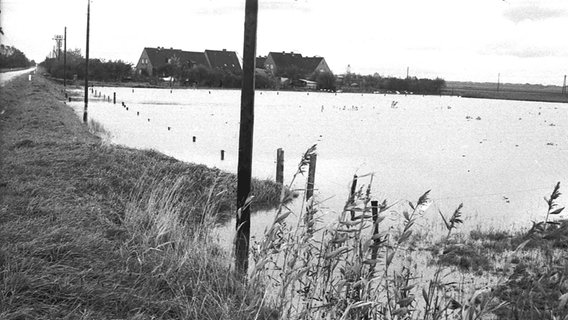 Altes Bild aus dem Kreisarchiv Nordfriesland, das Häuser neben überflutetem Marschboden zeigt. Altes Bild aus dem Kreisarchiv Nordfriesland, das Häuser neben überflutetem Marschboden zeigt. © Kreisarchiv Nordfriesland