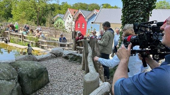 Zuschauer und Zuschauerinnen im Zoo Osnabrück. © NDR Foto: Hauke Sievers